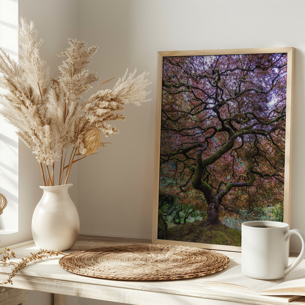 Japanese Maple Tree Poster