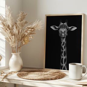 Giraffe Portrait Poster