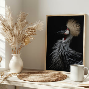 Crowned crane's portrait Poster