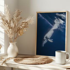 Reversing: Humpback Whale Poster