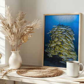 Fish Tower Poster