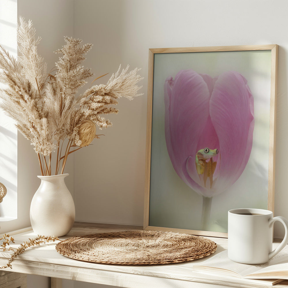 The Lemur Tree Frog and the Pink Tulip Poster