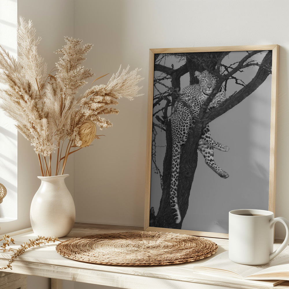 Rest On The Tree Poster