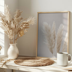 Pampas Grass Grey 02 Poster