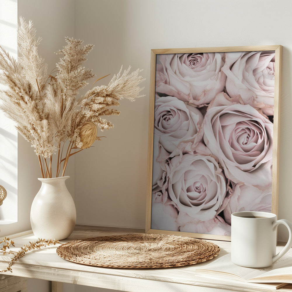 Pink Roses No 01 Poster