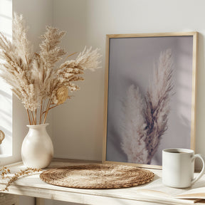 Pampas Grass Poster