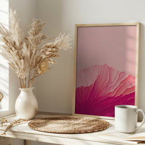 Pink Coral Poster