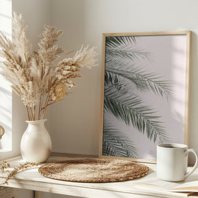 Blush Palm Leaves Poster