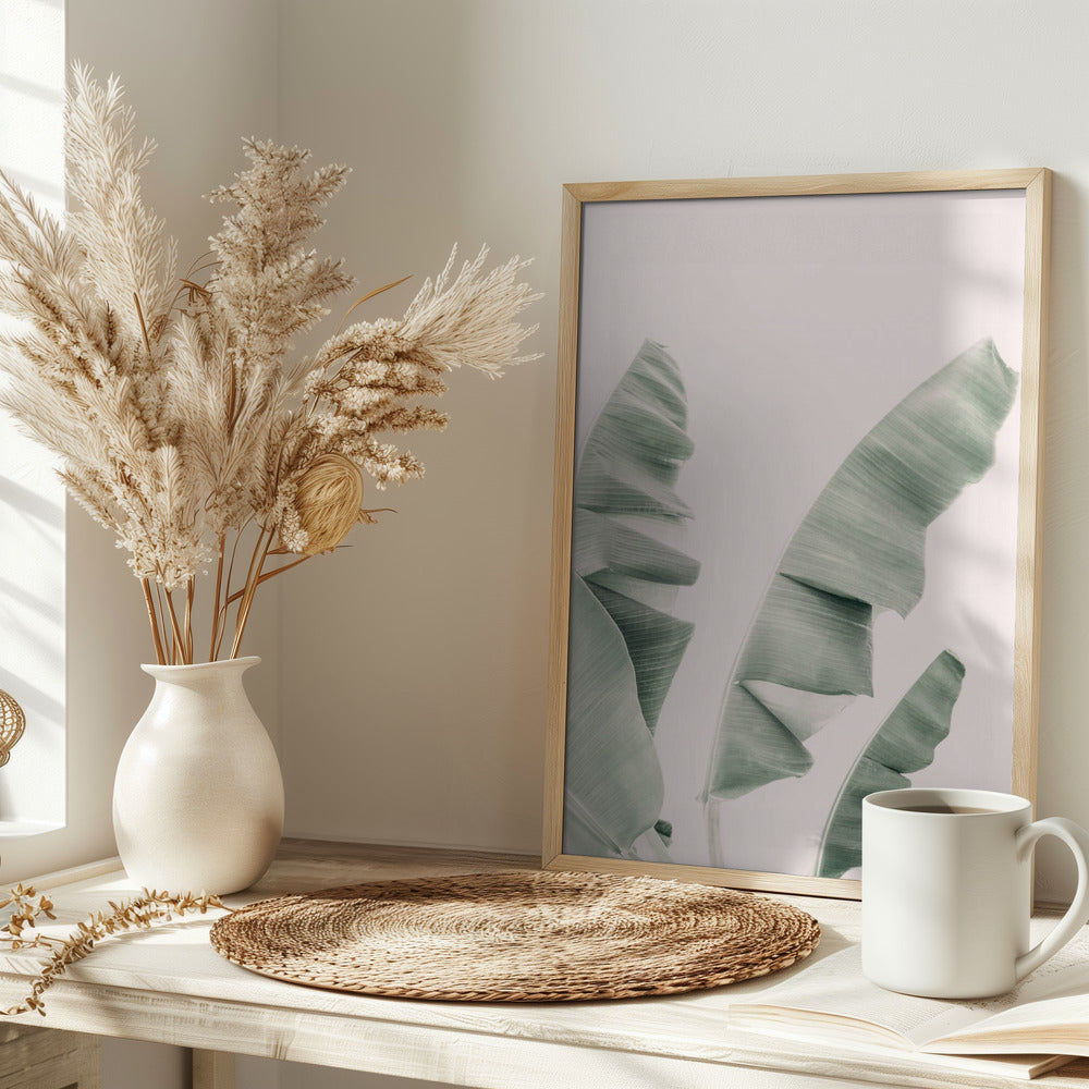 Blush Banana Leaves Poster