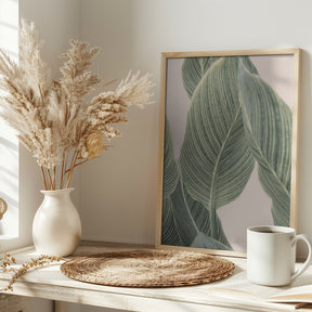 Calla Leaf Poster