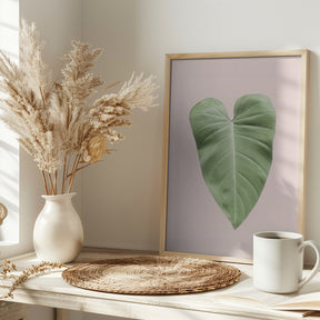 Tropical Leaf Blush Poster