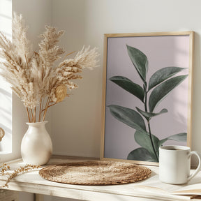 Foliage on Pink Poster