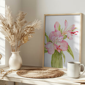 Pink watercolor alstroemeria Poster