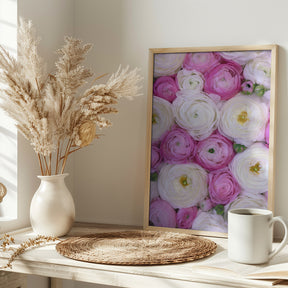 Scattered ranunculus in pink I Poster