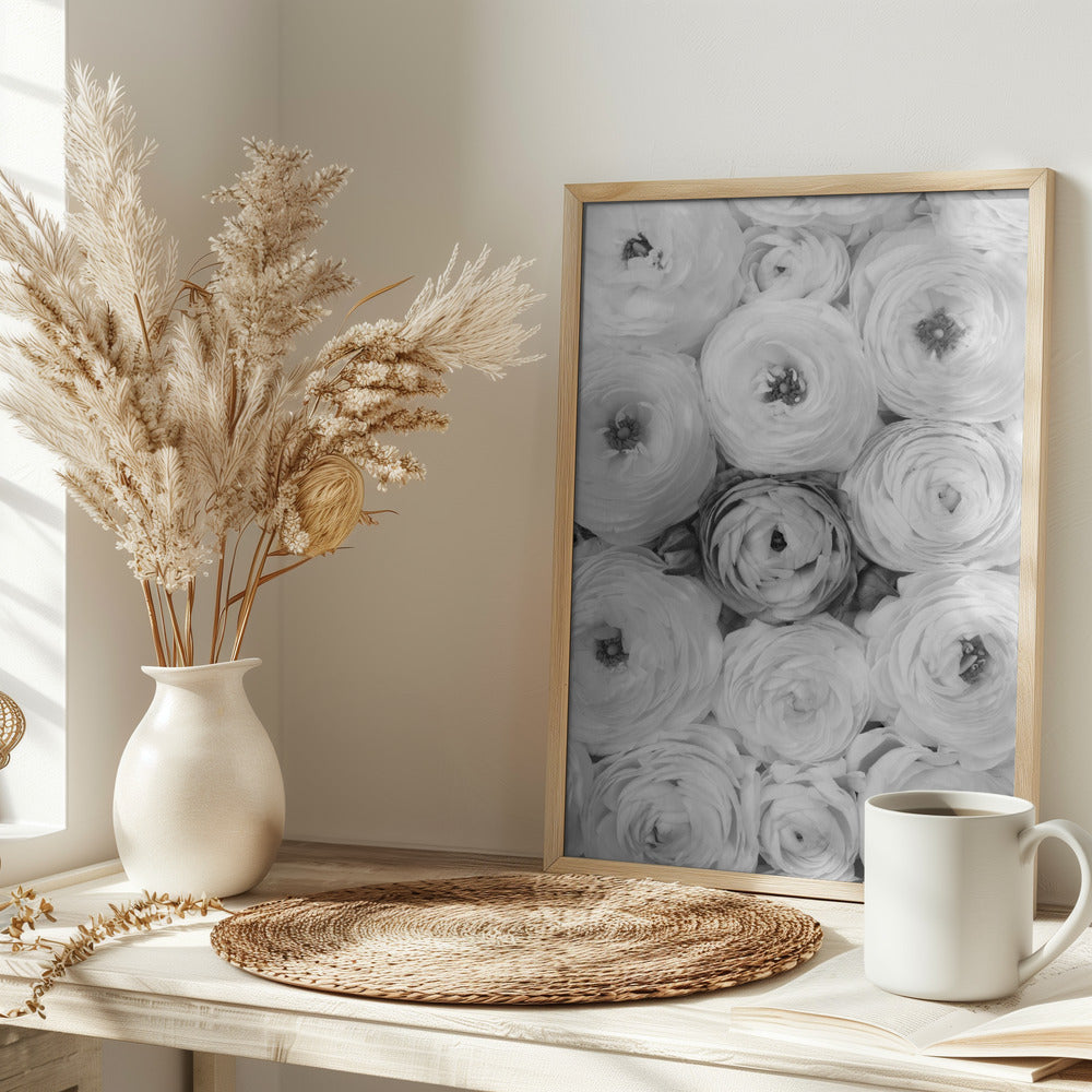 Singular ranunculus gray Poster