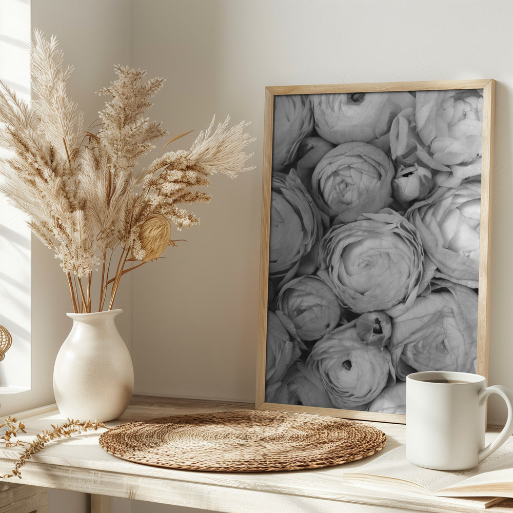 Gray ranunculus Poster