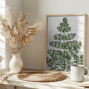 Green dainty leaves Poster