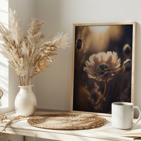 Flower in Morning Sun Poster