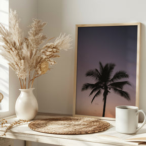 Costa Rica Palm Tree Poster