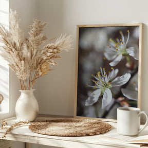 Spring blooms I Poster