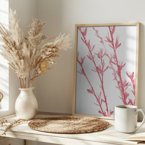 Pink dainty branch Poster