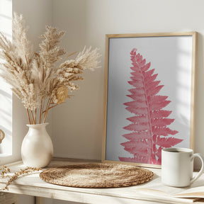 Pink fern leaf Poster