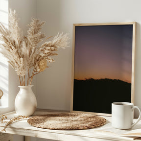 Dune Grass Sunset Poster