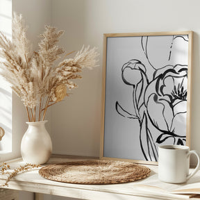 Anuman peony line art Poster