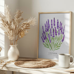 Lavender I Poster