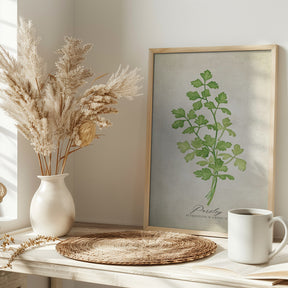 Parsley vintage Poster