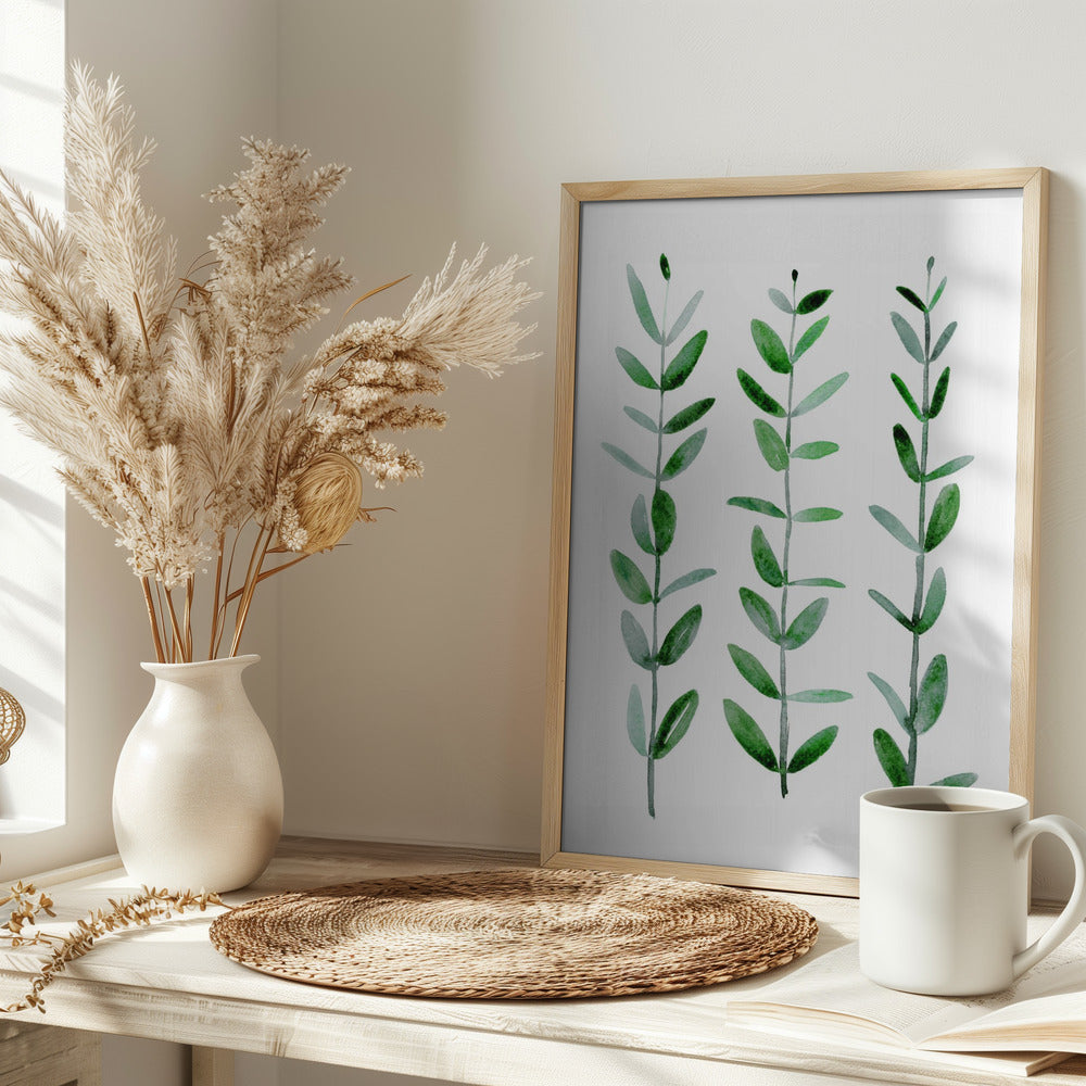 Watercolor eucalyptus parvifolia Poster