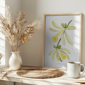 Watercolor vanilla orchid Poster