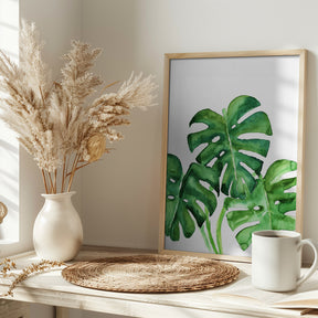 Monstera leaves in loose watercolor Poster