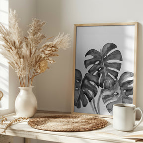 Monstera Leaves In Loose Watercolor Black and White Poster