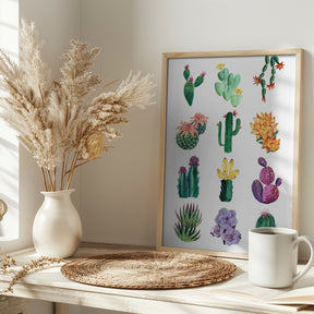 Collection of cacti Poster