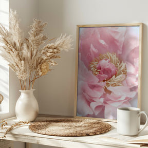 Blush peony I Poster