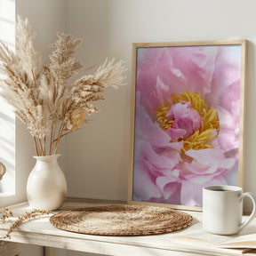 Pink peony I Poster