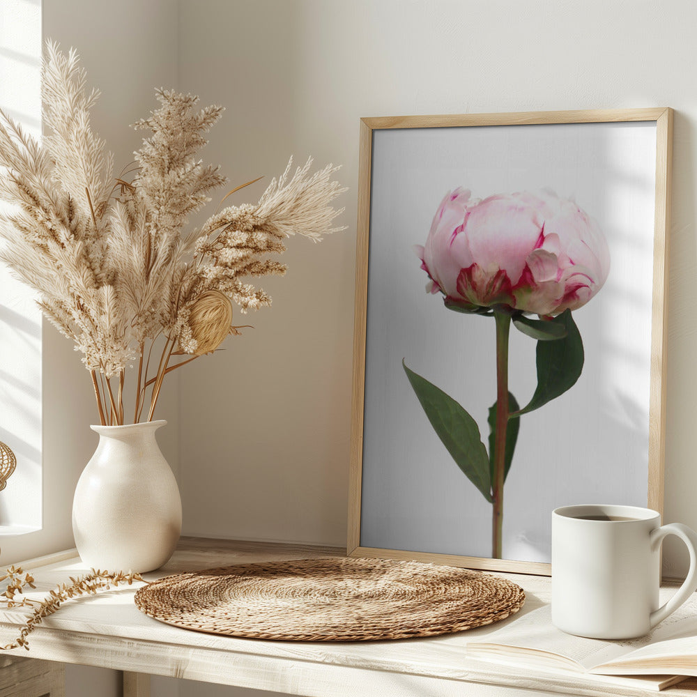 Pink peony II Poster