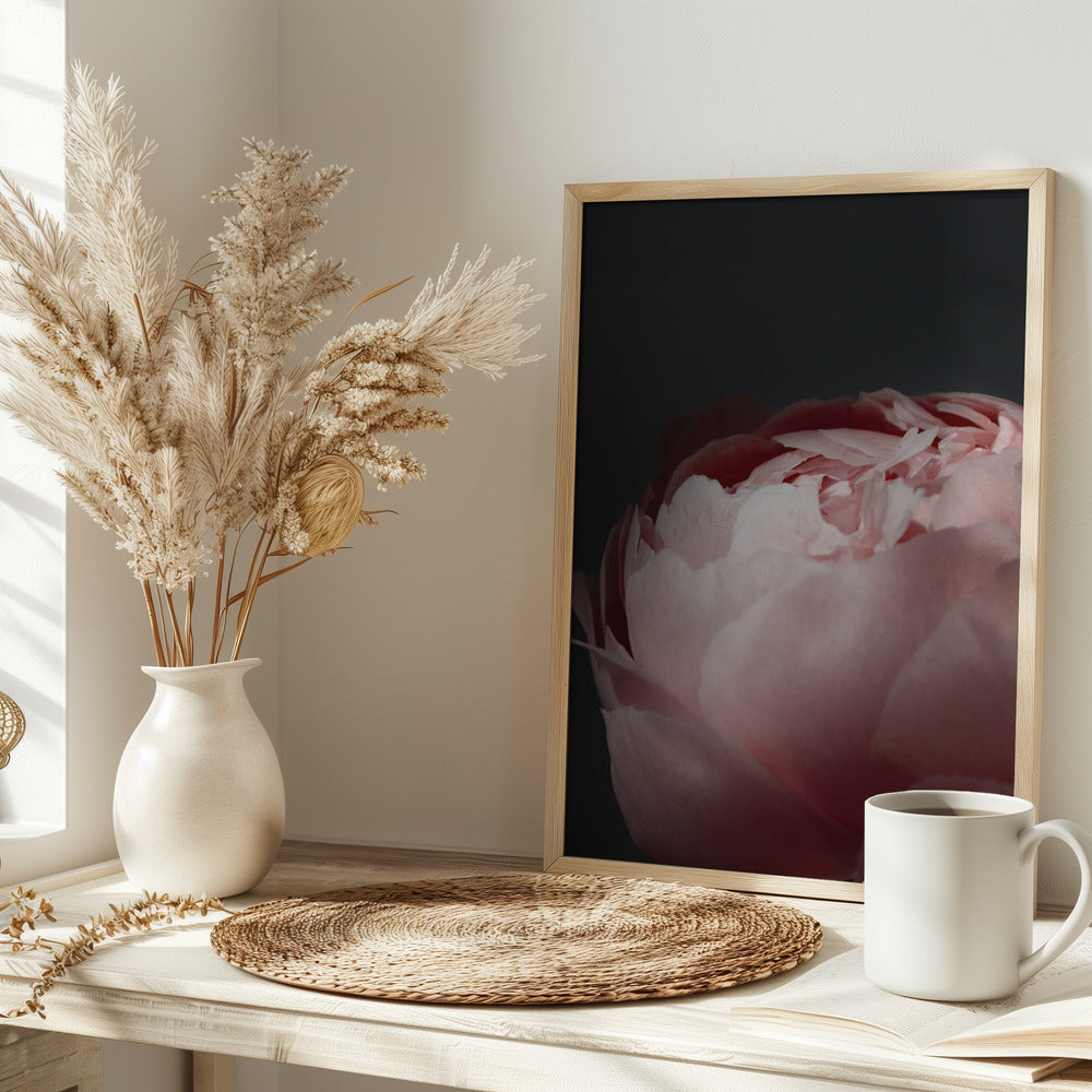 Moody blush peony II Poster