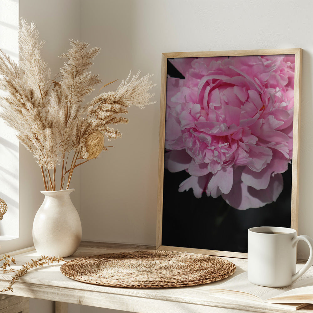 Pink peony V Poster