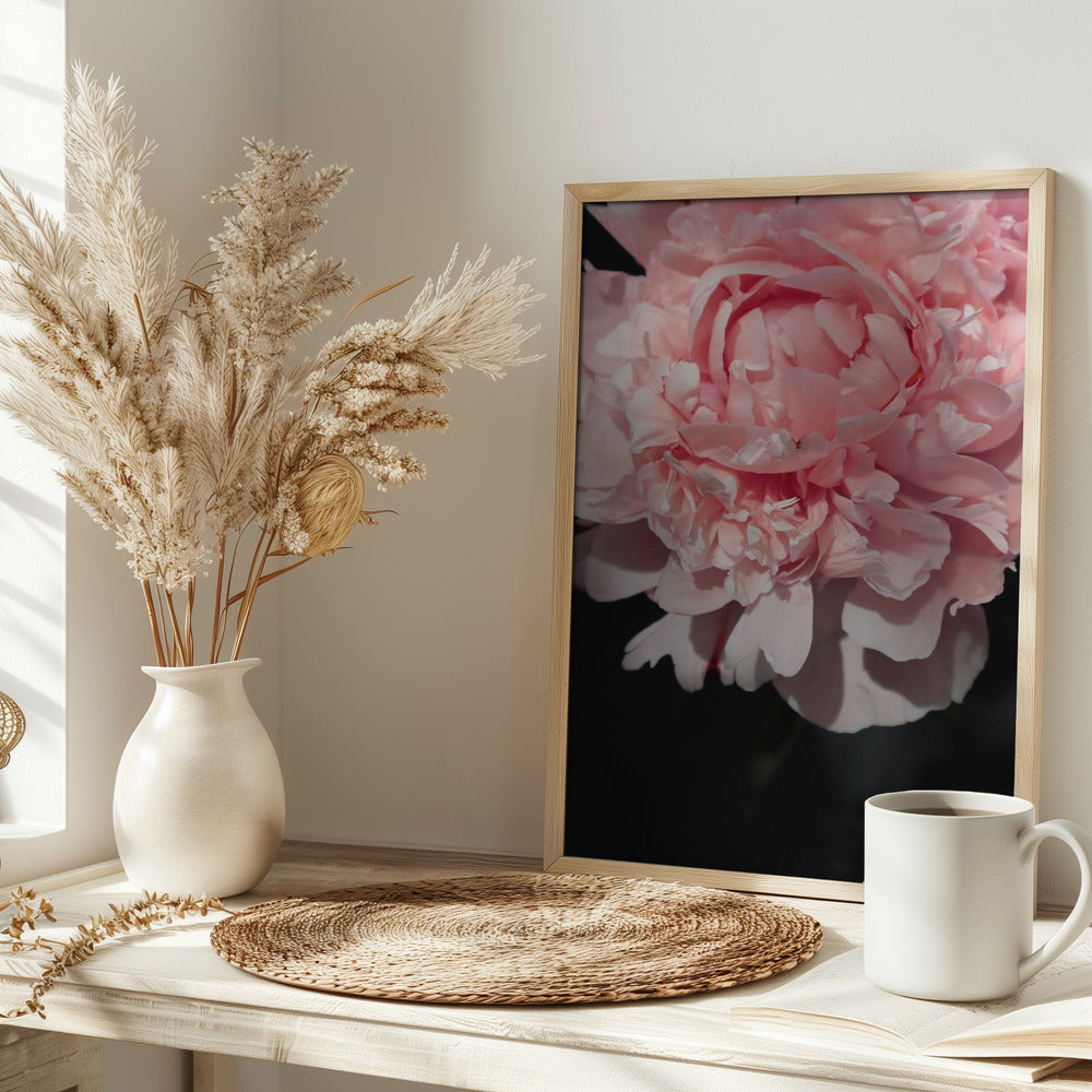 Blush peony V Poster