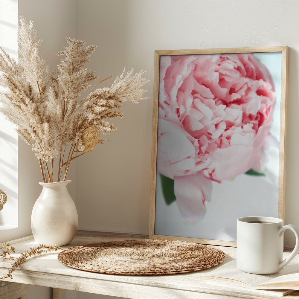 Blush peony VII Poster