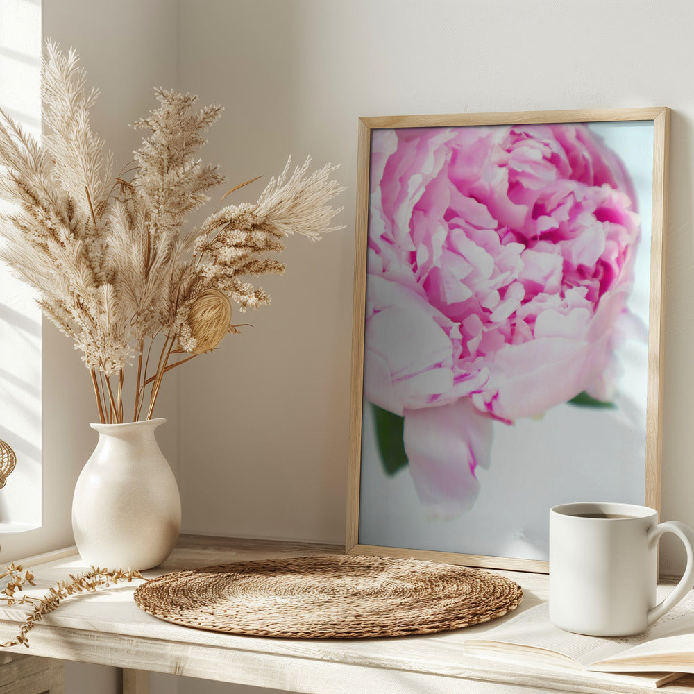 Pink peony VII Poster