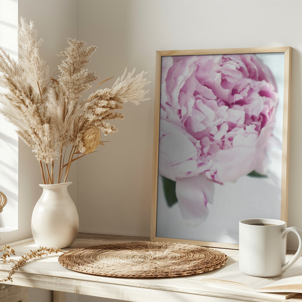 Subdued peony VII Poster