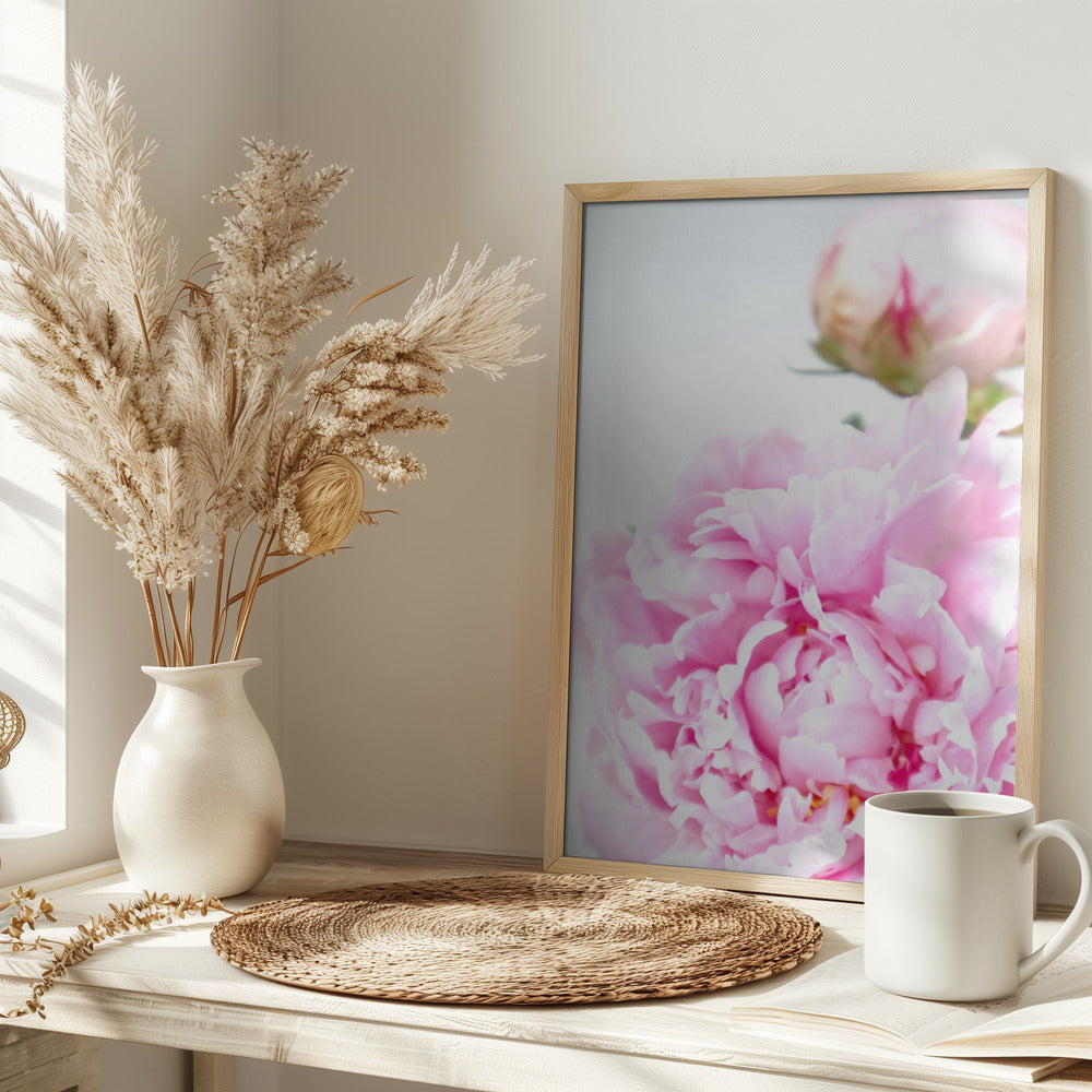 Pink peony IX Poster