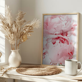 Bllush peony X Poster