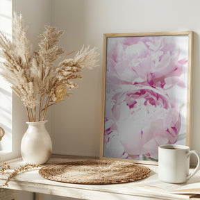 Subdued peony X Poster