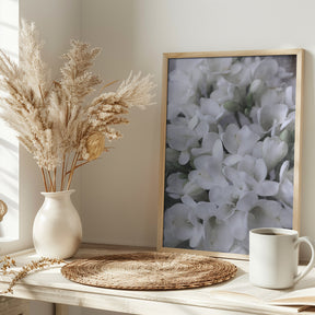 Distressed freesias IV Poster