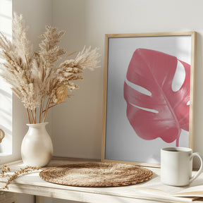 Pink monstera leaf Poster