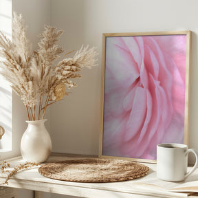 Soft pink petals Poster